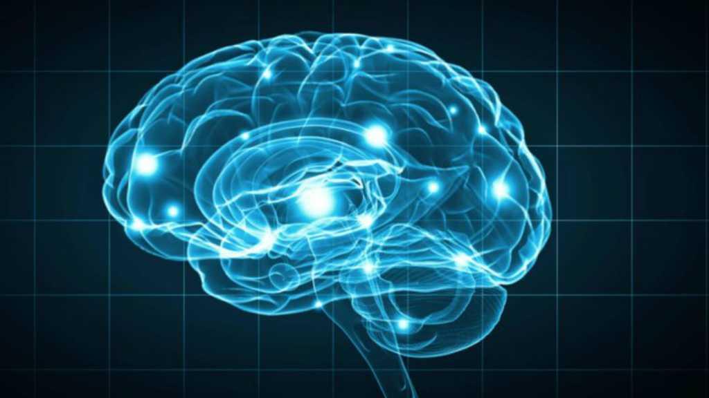 5 Fakta Menarik Otak, yang Diklaim 10 Persen Manusia Tak Menggunakannya