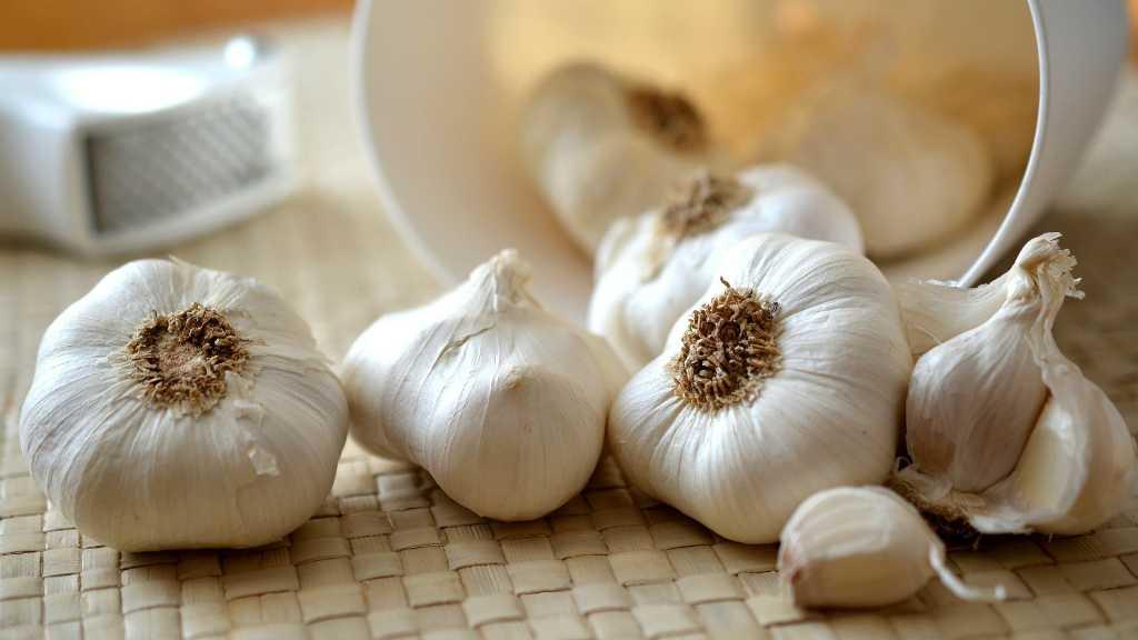 5 Bahan Alami yang Ampuh Bunuh Parasit di Dalam Tubuh Kamu