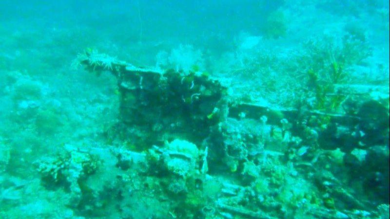 Ditemukan Puing-puing Pesawat Jepang Bekas Perang Dunia II di Papua Barat