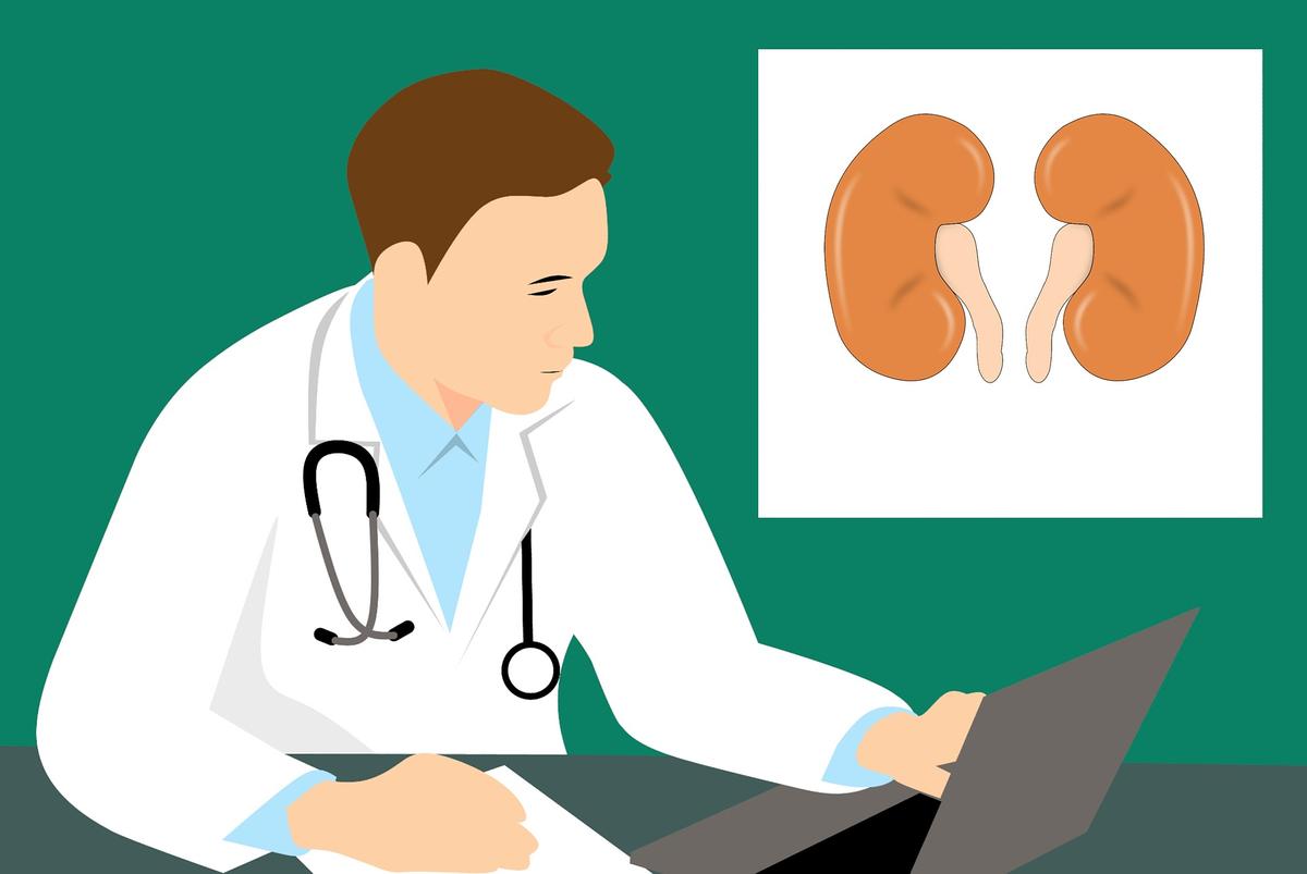 Terlalu Banyak Mengonsumsi Protein Bisa Menurunkan Fungsi Ginjal
