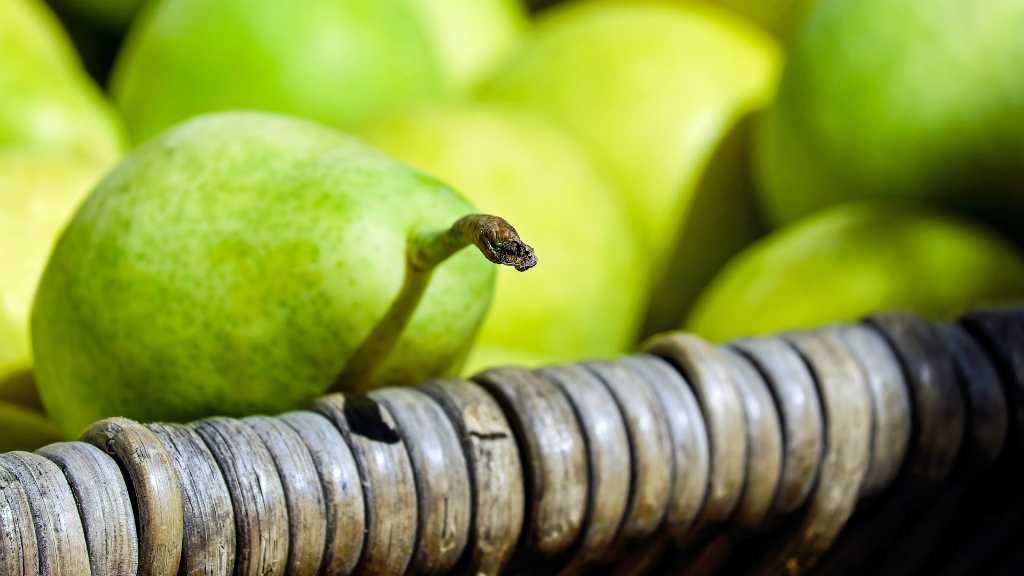 Ini 5 Alasan Kenapa Kamu Harus Konsumsi Buah Pir Setiap Harinya