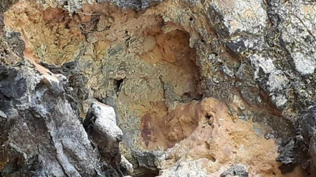 Lukisan Tebing Prasejarah Sanepa Ditemukan di Papua