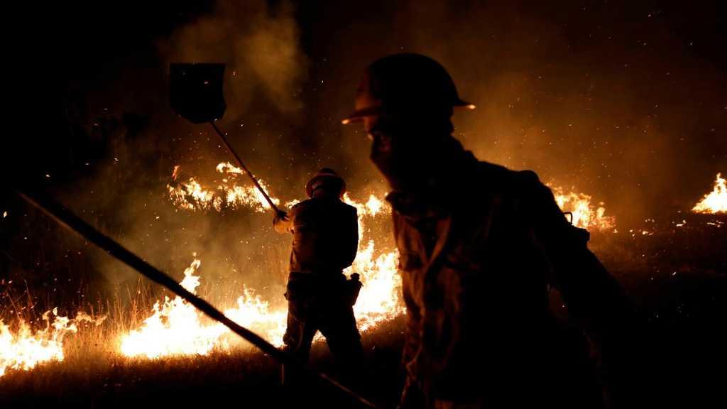 Dituding Bakar Amazon untuk Sumbangan, 4 Volunteer Ini Akhirnya Dibebaskan