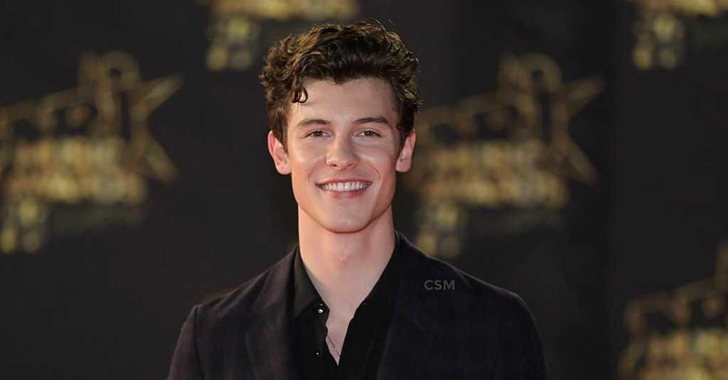 Radang Tenggorokan, Shawn Mendes Batalkan Konser