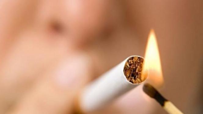 Harga Rokok Naik di 50 Kota, BPS: Aman, Masih Sumbang Inflasi 0,01 Persen