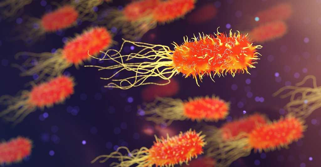 Waspada! Ini 5 Tanda Makanan Anda Penuh dengan Bakteri