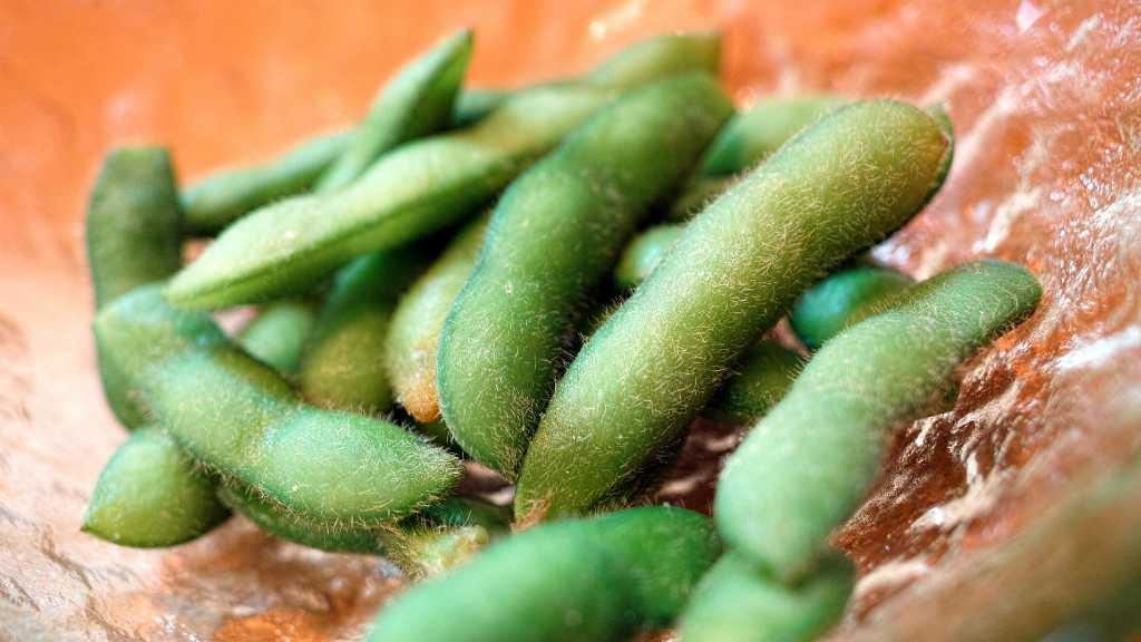 8 Fakta Mengejutkan Tentang Edamame yang Harus Kamu Tahu