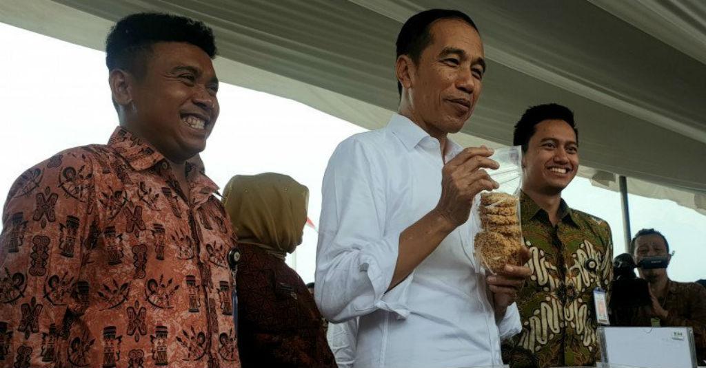 Ini Pesan Presiden Jokowi ke Peserta Mekaar PNM
