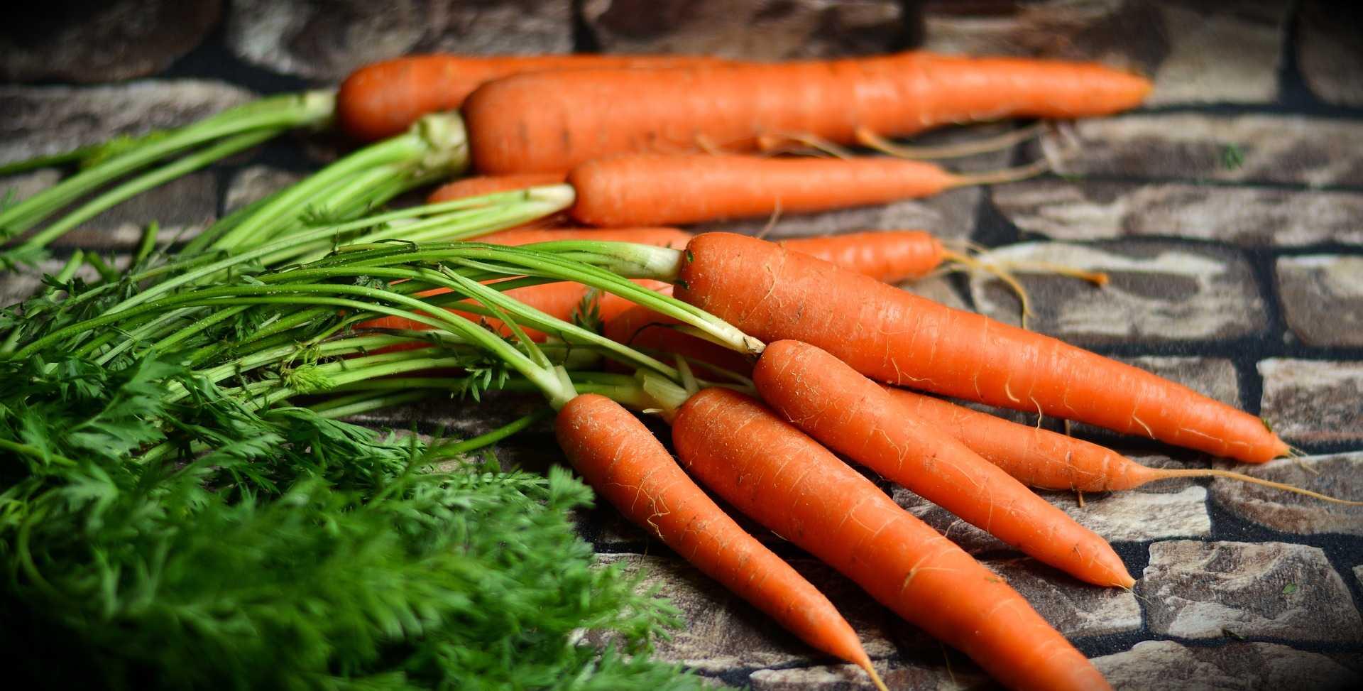 Waspada! 5 Makanan Sehat Ini Bisa Jadi Boomerang untuk Tubuhmu