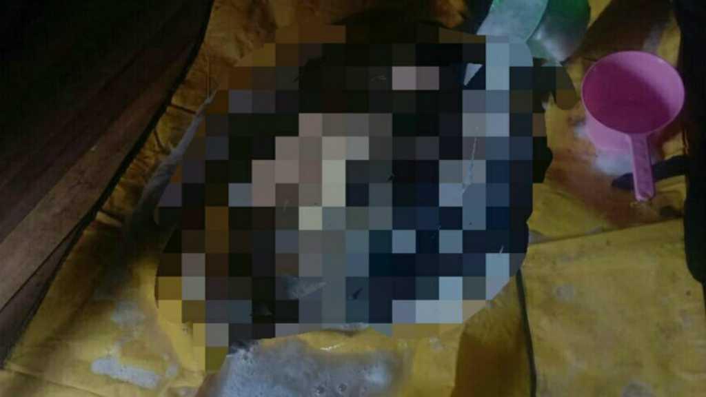 Jasadnya Ditemukan dalam Kondisi Tak Utuh, Seorang Nelayan Dimangsa Buaya