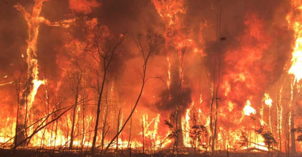 Australia Bersiap Diri Atasi Kebakaran di Tengah Ancaman Cuaca Ekstrem