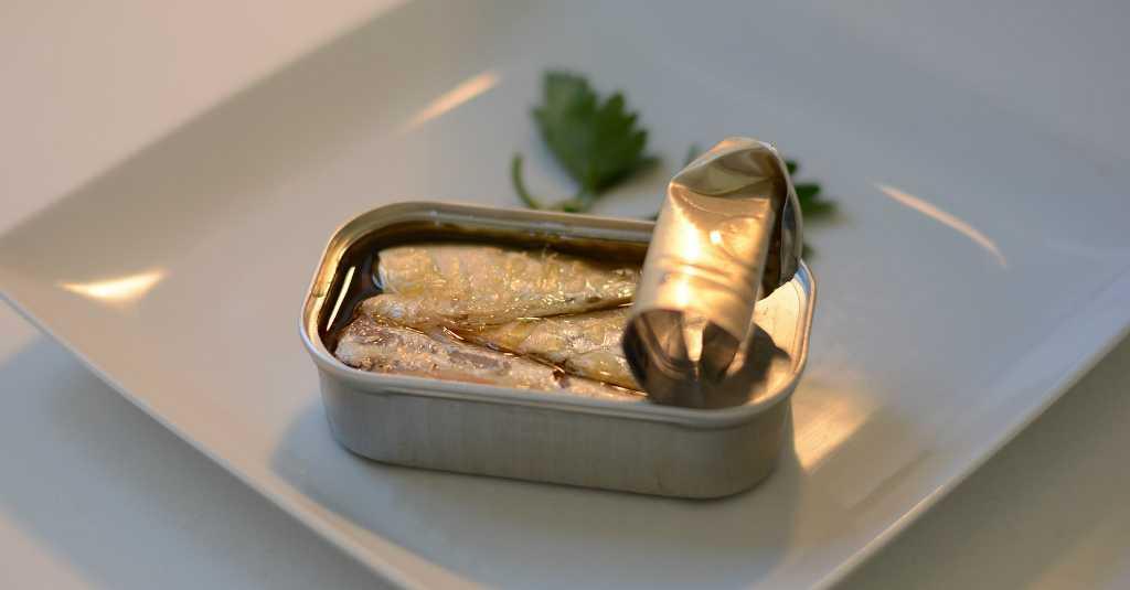 Mengkonsumsi Ikan Tuna Kalengan Sehat atau Berbahaya?