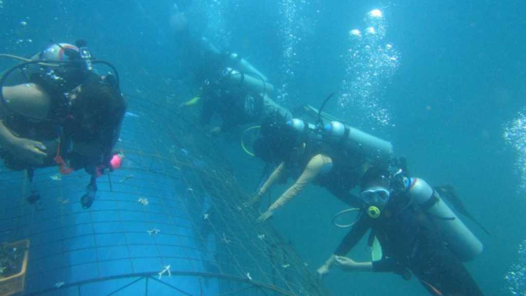 Kodam Pecahkan Rekor MURI Transplantasi Terumbu Karang Terpanjang