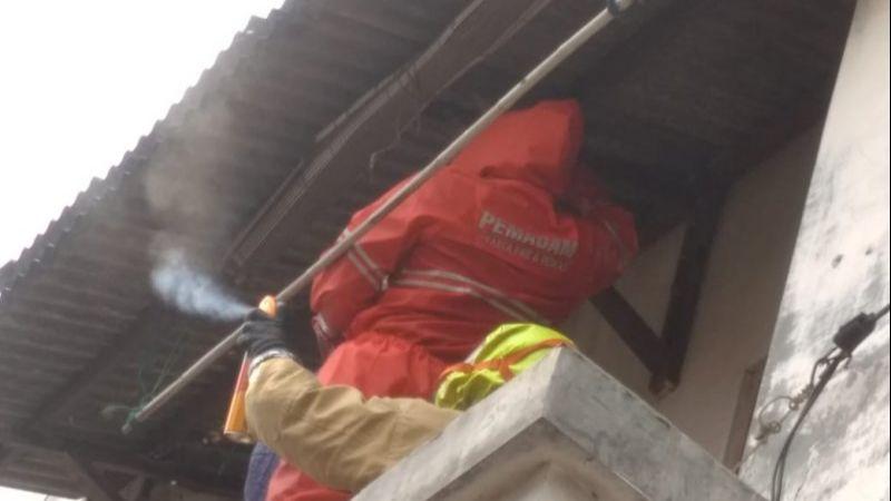 Dalam Sehari, Damkar Jaktim Evakuasi Lima Sarang Tawon di Lokasi Berbeda