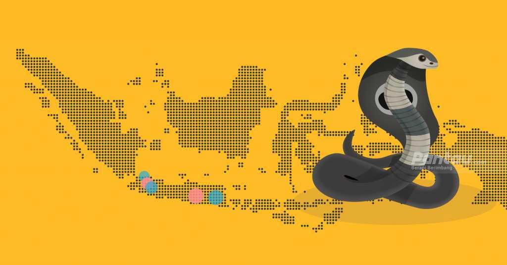 Berikut Daftar Rumah Sakit di Jakarta yang Menyediakan Serum Anti Bisa Ular