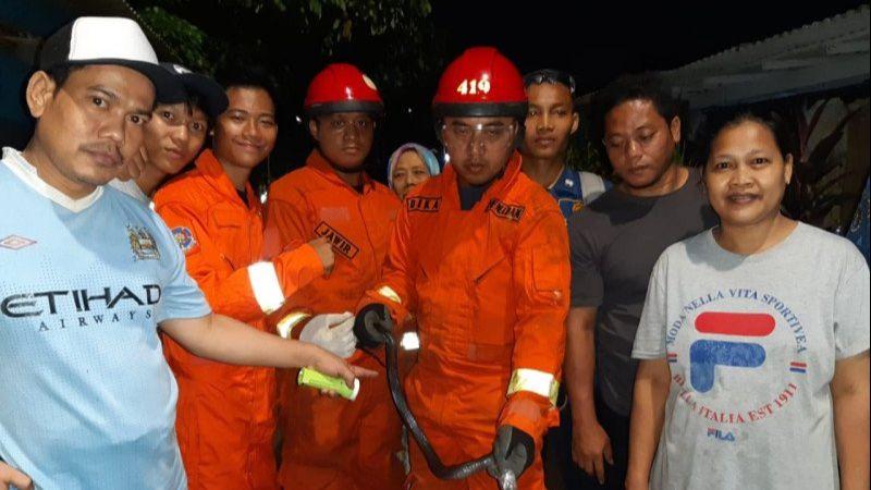 Seekor Induk Ular Kobra Ditemukan di Rumah Warga di Pasar Minggu