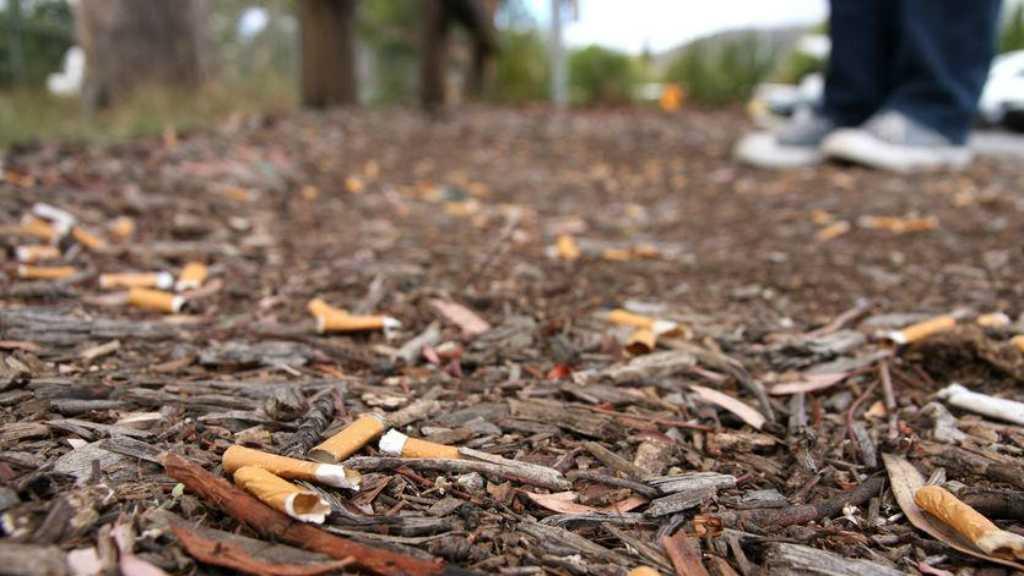 Coba Deh, Ada yang Berani Buang Puntung Rokok dari Mobil?