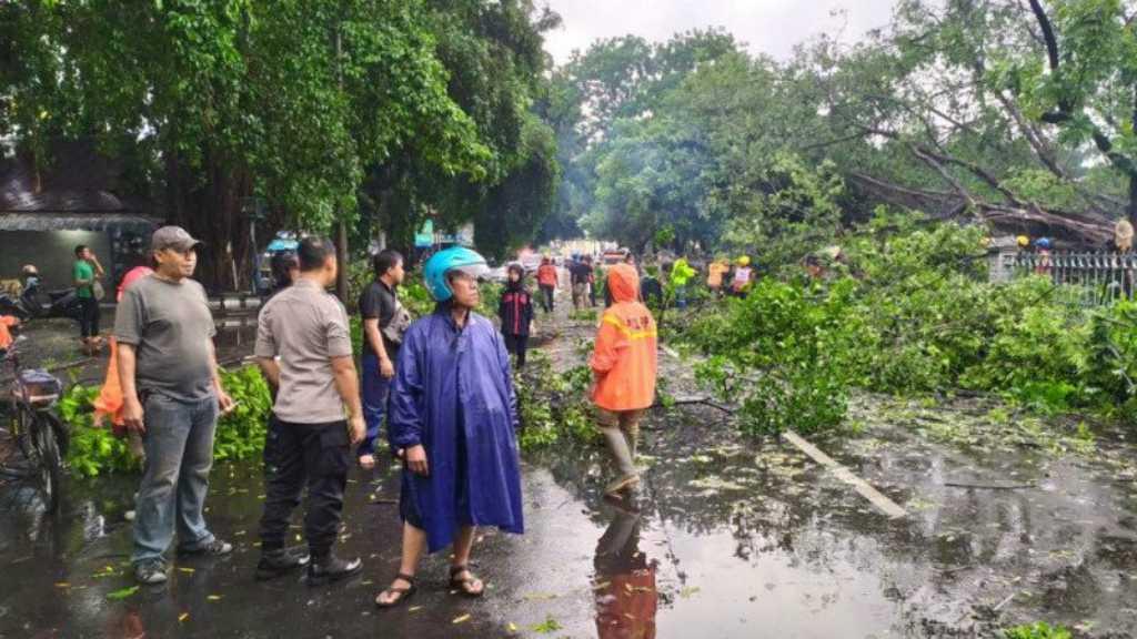Puting Beliung Terjang Solo saat Natal, Banyak Mobil Ditimpa Pohon Tumbang