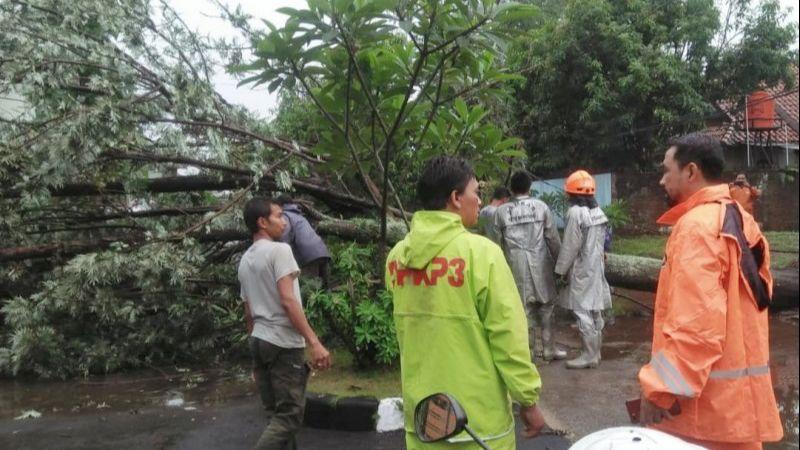Banjir dan Pohon Tumbang Terjadi di Bandung Usai Diguyur Hujan Deras