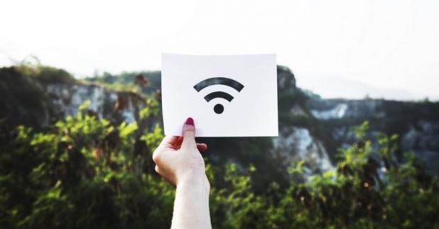 Riset: Bahaya Radiasi Wi-Fi dapat Merusak Tanaman, Bagaimana ke Manusia?