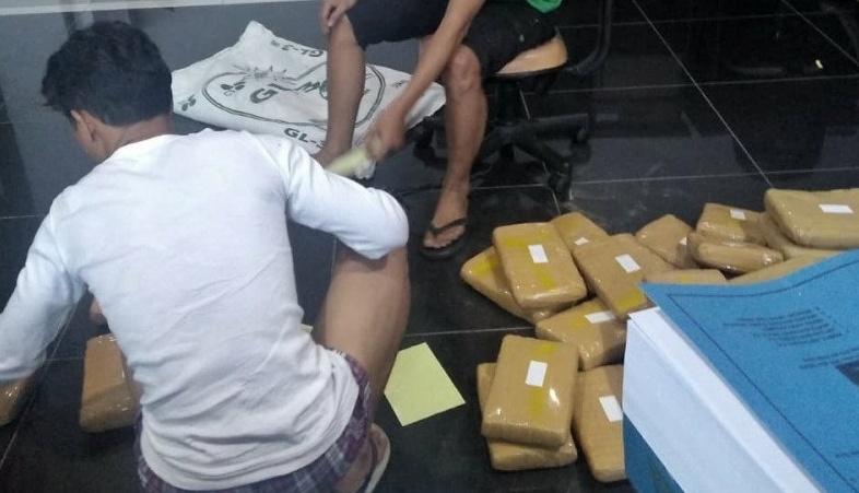 BNN Tangkap Pelaku yang Akan Edarkan 50 Kg Ganja saat Malam Tahun Baru