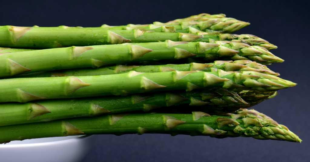 Kenapa Mengonsumsi Asparagus Bisa Membuat Urin Jadi Bau Busuk?