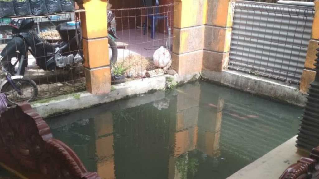 Luput Pengawasan Orang Tua, Balita Berusia 1 Tahun Tewas Tercebur Kolam