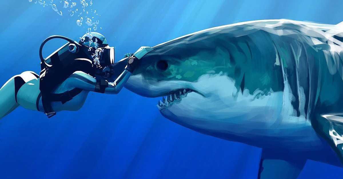 Meski Terkenal Ganas, Ikan Hiu Ternyata Buta Warna Lho!
