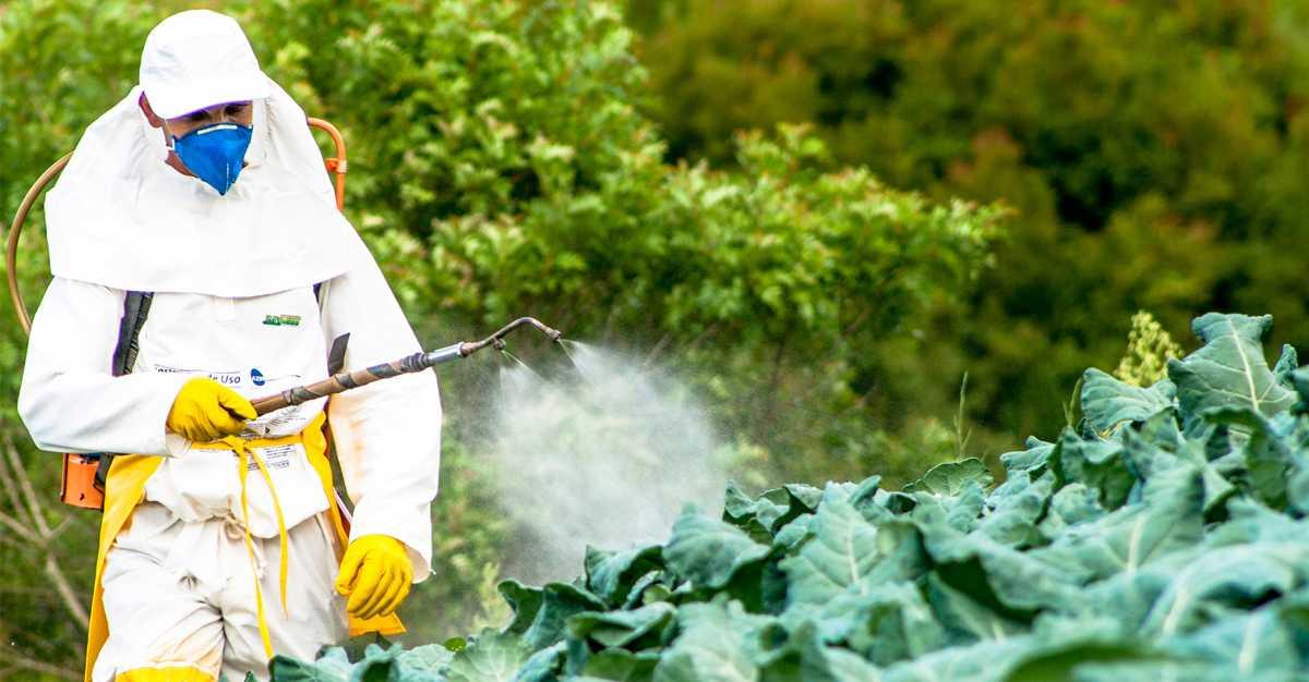 Awas! Paparan Pestisida Bisa Sebabkan Parkinson