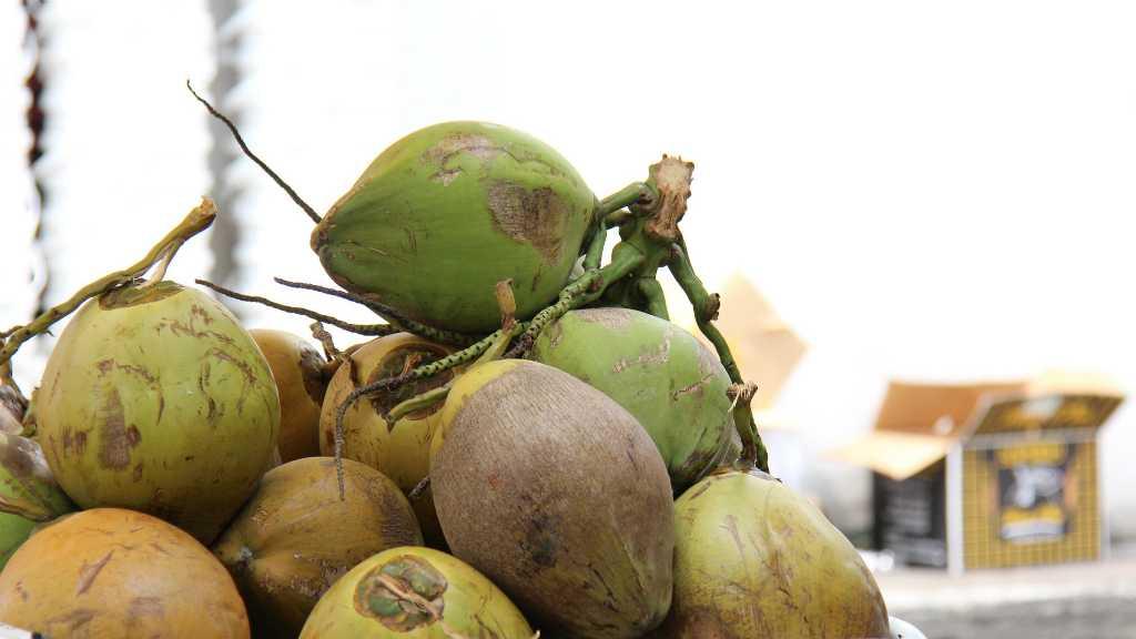 8 Manfaat Minum Air Kelapa Setiap Hari, Bisa Cegah Batu Ginjal!