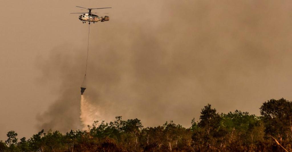 Waduh, BMKG Deteksi Ada 14 Titik Panas Indikasi Karhutla di Riau