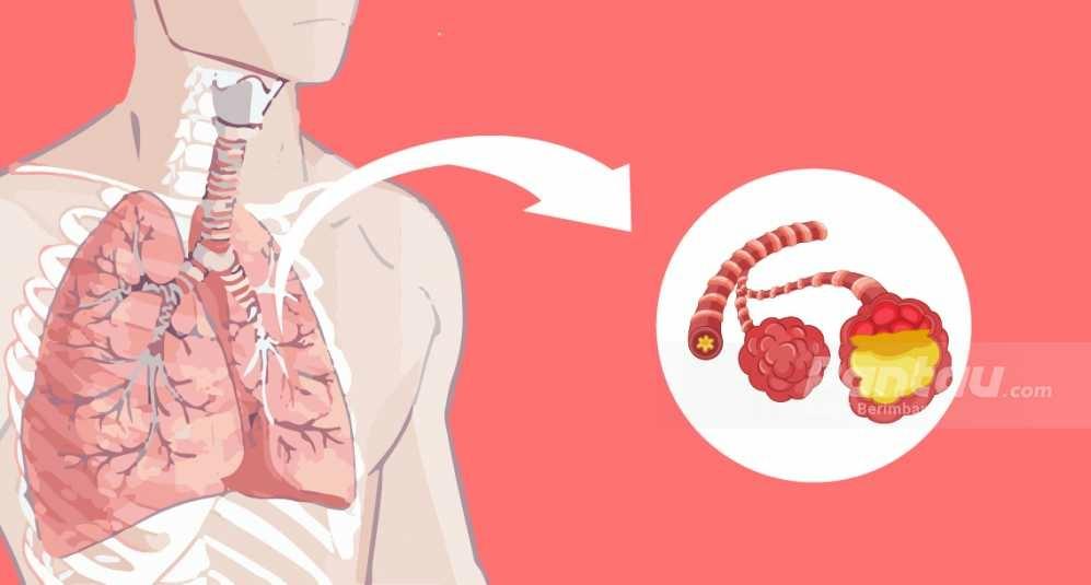 WHO Sebut Virus Pneumonia yang Mewabah di China Belum Tersebar ke Mana Saja