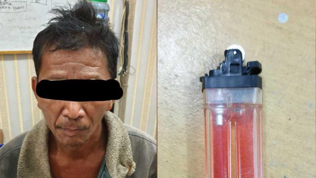 Seorang Pegawai BUMN Diciduk Polisi Diduga Bakar Lahan di Siak Riau