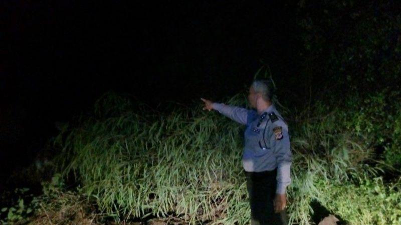 Tebing Setinggi 15 Meter Longsor, Jalur Bandung-Cianjur Lumpuh Total
