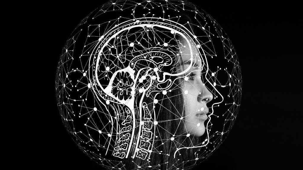 7 Fakta Menarik Tentang Otak yang Tidak Kamu Ketahui