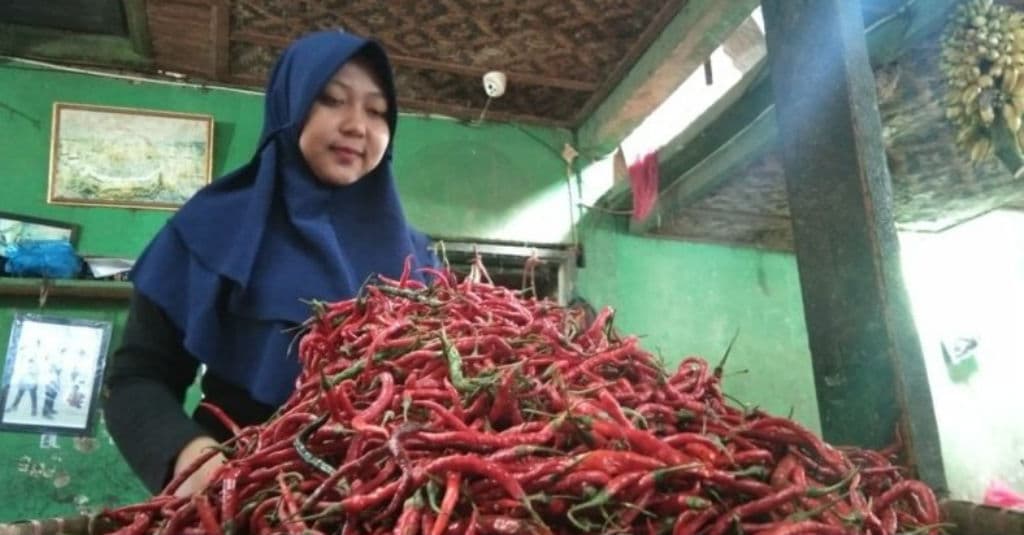 Disperindag Garut Telusuri Penyebab Kenaikan Cabai