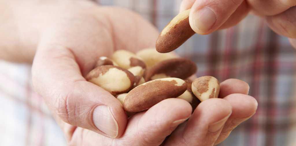 5 Manfaat Kesehatan Luar Biasa dari Kacang Brazil