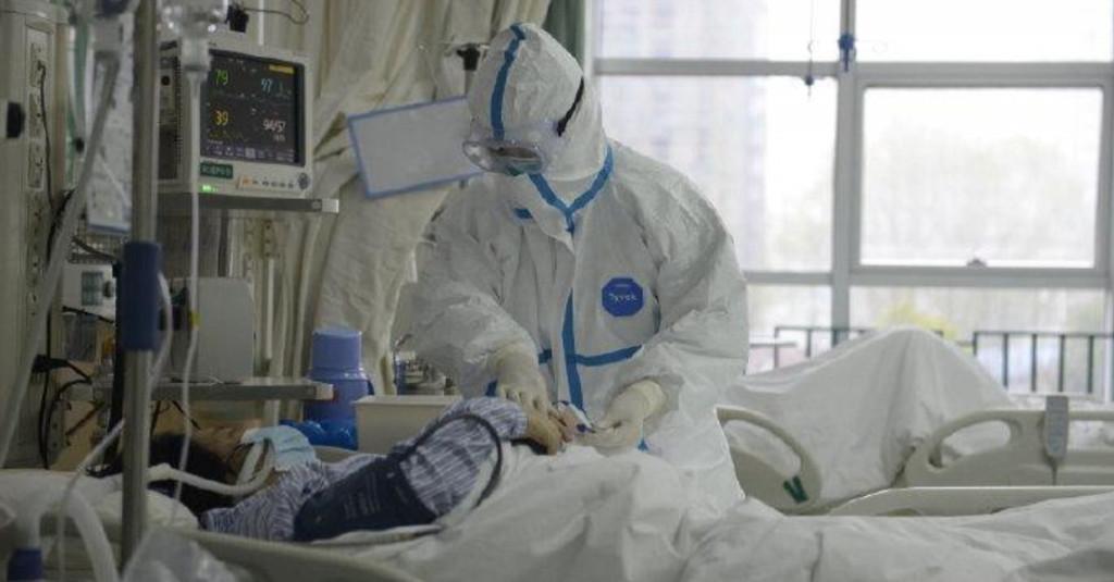 Hewan Peliharaan Tularkan Virus Korona kepada Manusia?