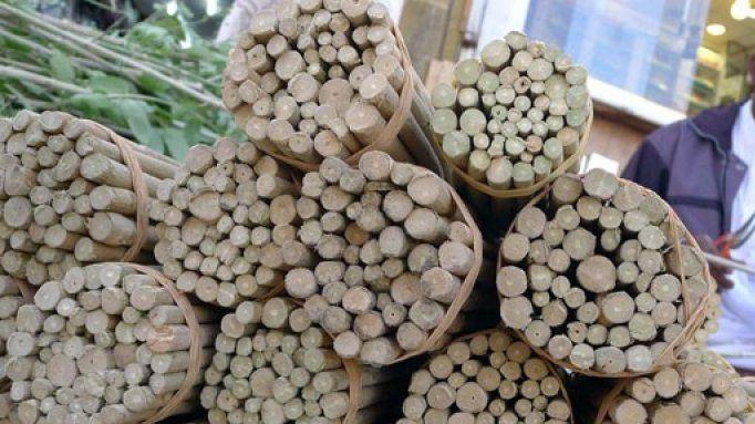 Ternyata Ini Manfaat Siwak untuk Kesehatan Gigi