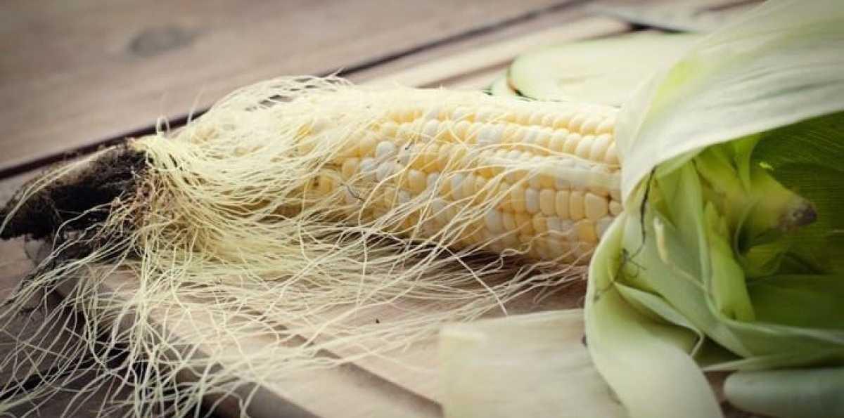 5 Manfaat Luar Biasa Serat Sutra di Jagung untuk Kesehatan