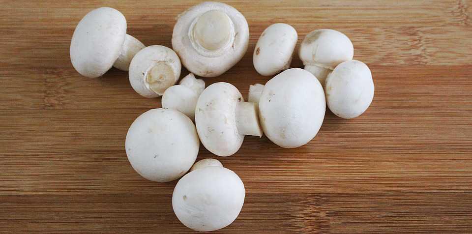 8 Manfaat Jamur Bagi Kesehatan, Cegah Diabetes Hingga Kanker