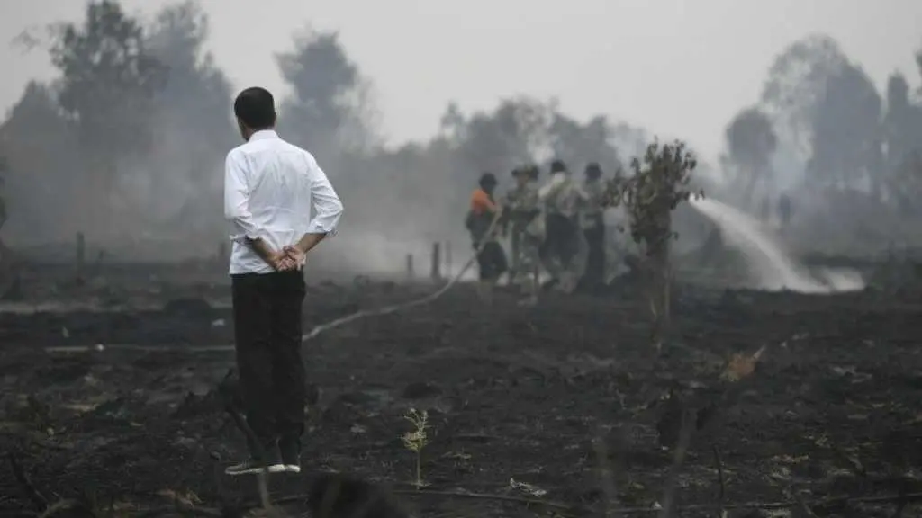 Kecemasan Jokowi Soal Karhutla Akhirnya Terucapkan