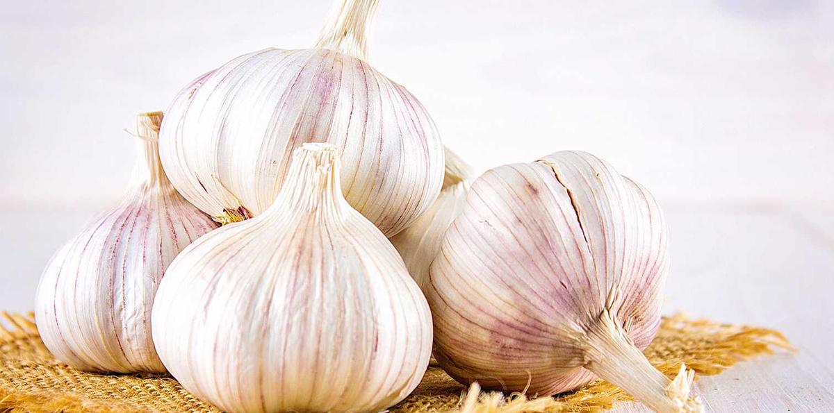 7 Fakta Menakjubkan Bawang Putih yang Harus Kamu Tahu!