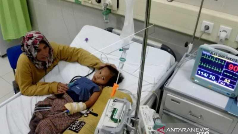 Tiga Kabupaten Terjangkit DBD, NTT Tetapkan 'KLB'