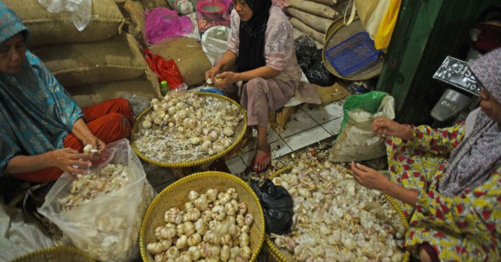 Pemerintah Tekan Impor, Peluang Kembalikan Kejayaan Swasembada Pangan?