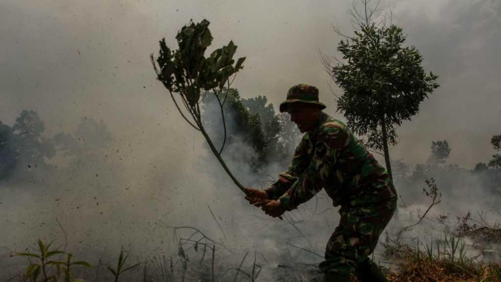Riau Akan Berlakukan Siaga Darurat Bencana Karhutla
