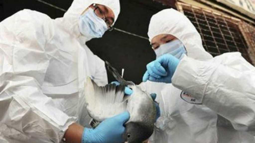 Kata Pejabat Rahasia, Vietnam Tengah Diteror Flu Burung Usai Virus Korona