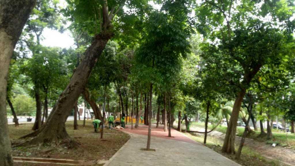 50 Pohon Direlokasi Akibat Revitalisasi Taman Sumenep Jakarta