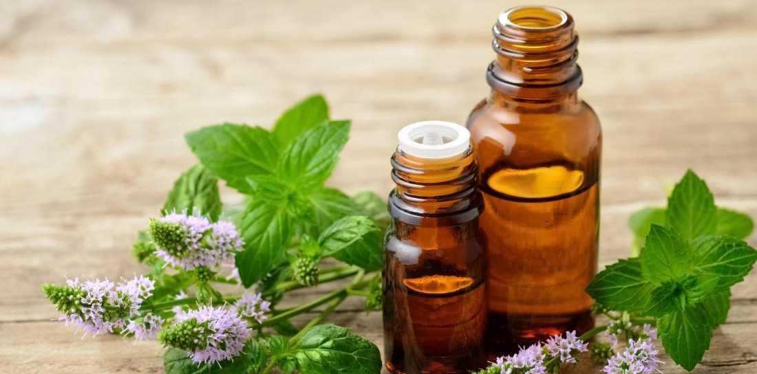 6 Tips Menggunakan Tea Tree Oil untuk Menghilangkan Jerawat
