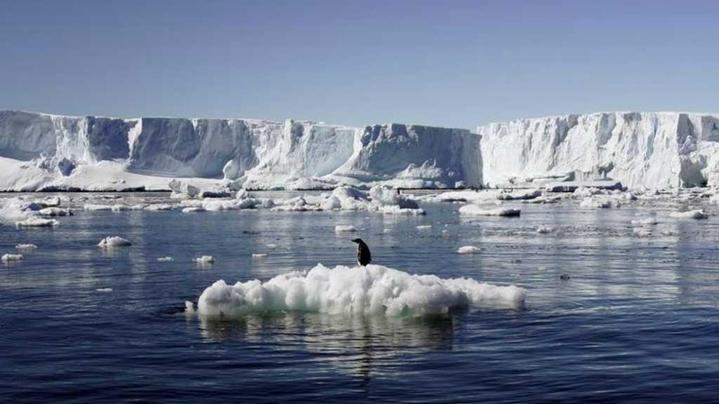 Antartika Capai Suhu Terpanas 20 Derajat Celcius untuk Pertama Kalinya
